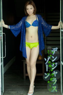 铜雀锁金钗